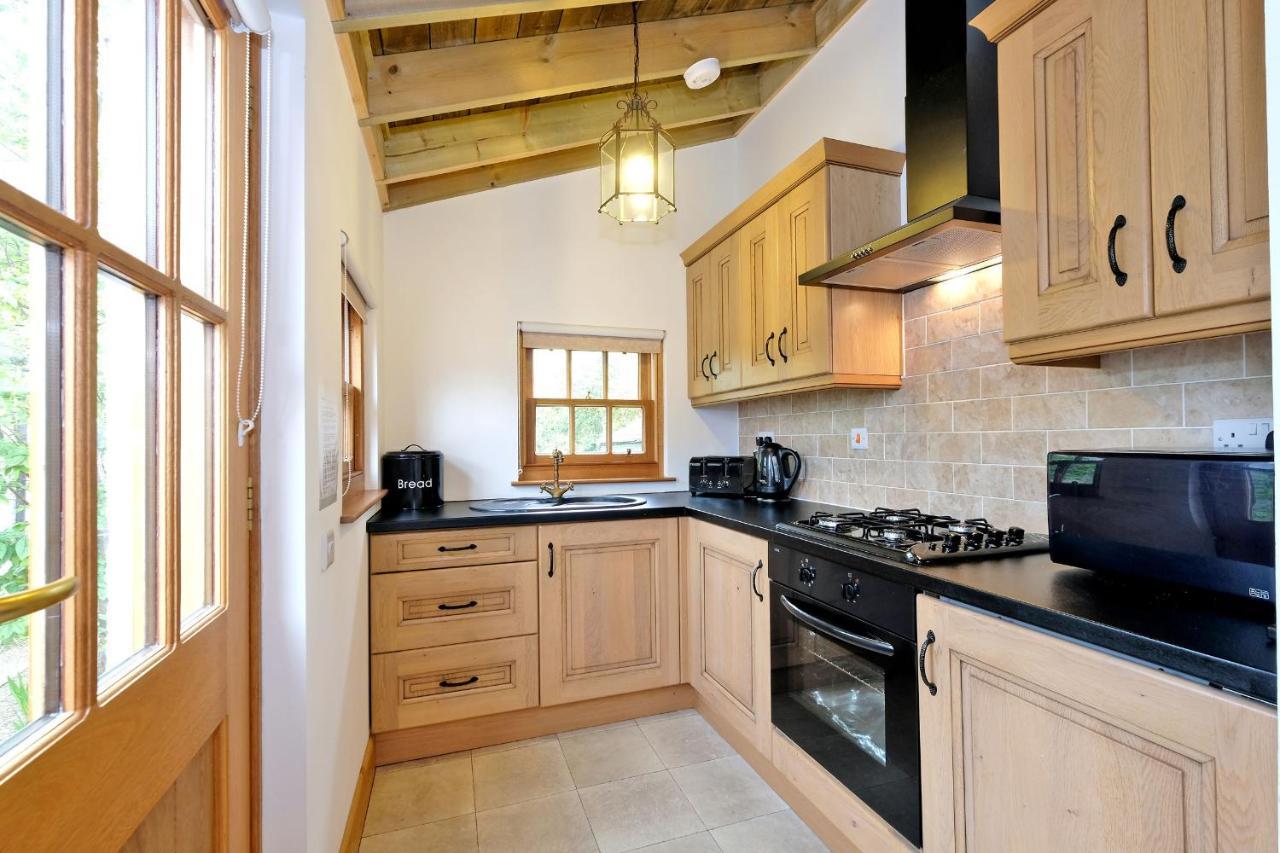 Entire unique tiny house - Moss Cabin Banff Extérieur photo